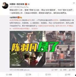 张彩玲爆料婆婆视频大全,揭秘家庭纷争背后的真相  第2张