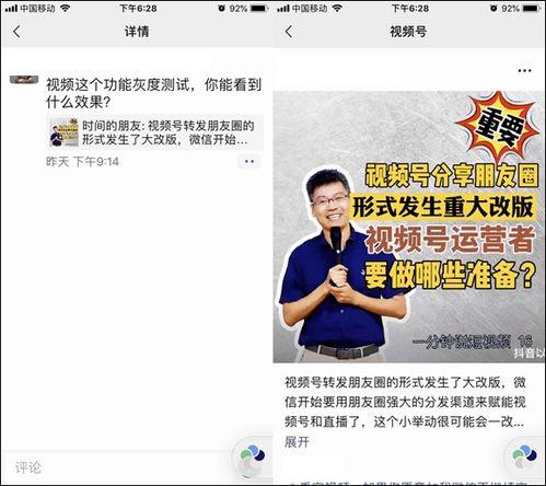 设计师爆料碧波龙视频,碧波龙视频背后的设计灵感与创意  第2张