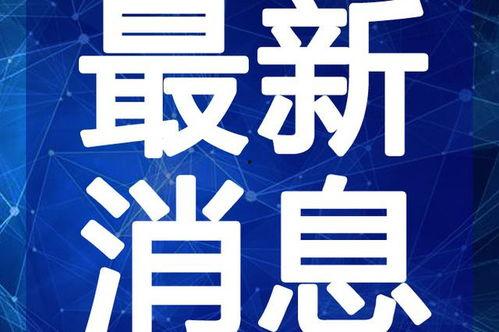 康定酒店爆料视频大全最新,揭秘酒店内幕，带你走进真实住宿体验